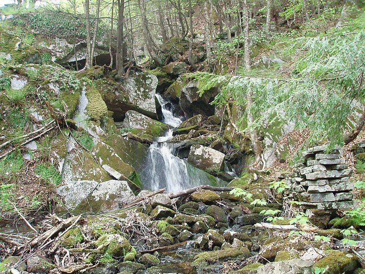 Washbowl Falls