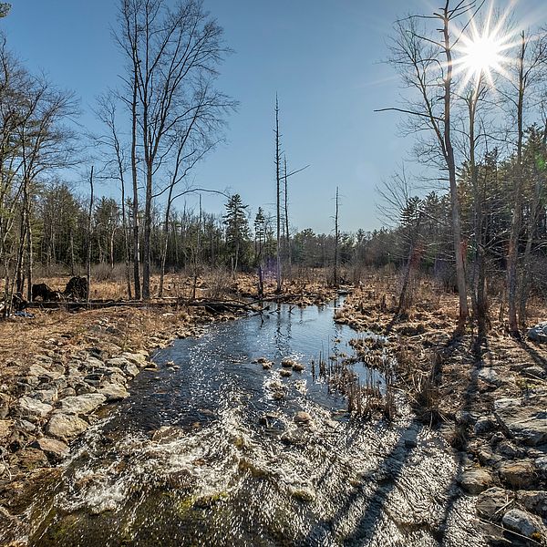 Robbins Pond, in Rindge and Winchendon
