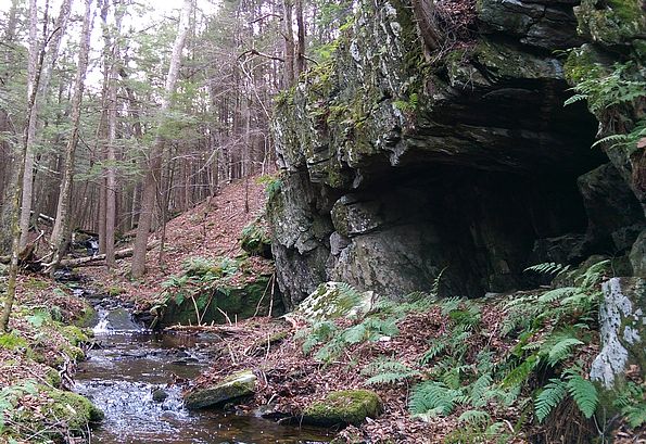 Hodge Brook