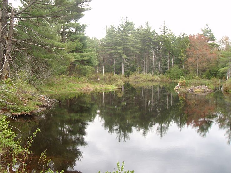 Lake Wampanoag